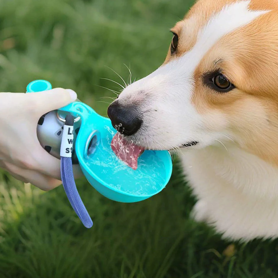 Bouteille d'Eau Portable 2-en-1 pour Chien — 250 ml Compacte