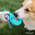 Bouteille d'Eau 2-en-1 pour Chien — Bol Intégré Compact Anti-Fuite Voyage