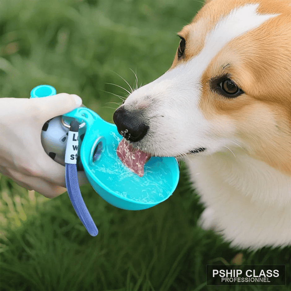 produGourde 2-en-1 pour chien 285ml avec bol silicone amovible - vue 2 ct_name - P-SHIP